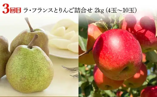 【2026年先行予約 定期便3回】ﾌﾙｰﾂ王国山形からの贈り物 ～秋冬 6種贅沢便～ 桃 もも ぶどう ブドウ ラフランス りんご デザート フルーツ 果物 くだもの 果実 食品 山形県 FSY-2508