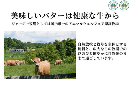 ジャージーバター 100g×5個セット | 無塩 無塩バター 減塩 ジャージー牛 北海道 無添加  [019-53]