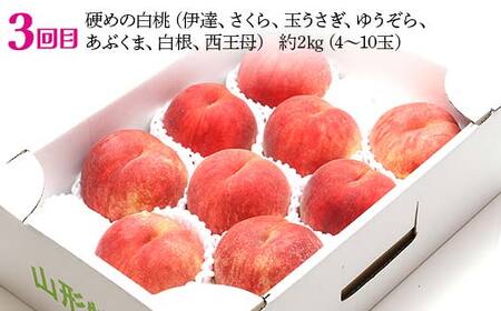 【2026年先行予約 定期便4回】ﾌﾙｰﾂ王国山形からの贈り物 ～王国の桃祭り～ 桃 もも 白桃 黄桃 モモ デザート フルーツ 果物 くだもの 果実 食品 山形県 FSY-2483