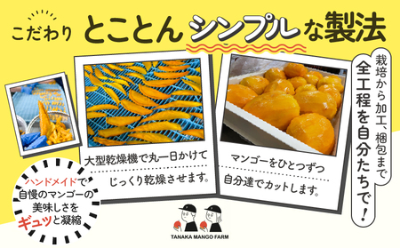 【先行受付】田中 マンゴー園 が作った マンゴー の ドライフルーツ 20g×5袋 W001-013-01 果物