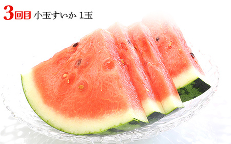 【2026年先行予約 定期便4回】ﾌﾙｰﾂ王国山形からの贈り物 ～初夏の味わいセット～桃 もも メロン すいか さくらんぼ デザート フルーツ 果物 くだもの 果実 食品 山形県 FSY-2356