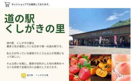 【先行予約】旬の梨(幸水ー豊水ーあきづき) 極上秀品（中玉～大玉）6～8個入り2026年8月中旬～9月中旬頃に順次発送予定（お届け日指定不可）/ 和歌山 梨 フルーツ 果物 くだもの【kgr015】