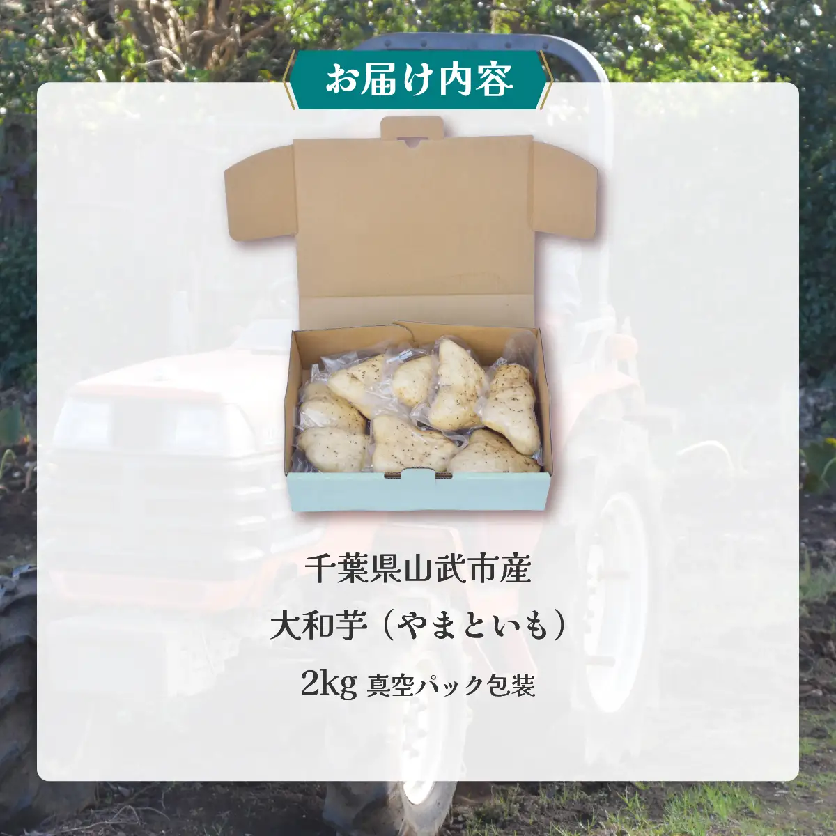 農家直送! 直売所でも大人気! 豊かな風味と強い粘り気が特徴! 大和芋（やまといも）2kg 真空パック包装　ふるさと納税 やまといも ヤマトイモ 大和芋 芋 山芋 長芋 きめ 粘り とろろ汁 麦とろ やまかけ 農家直送 千葉県 山武市 SMCH001