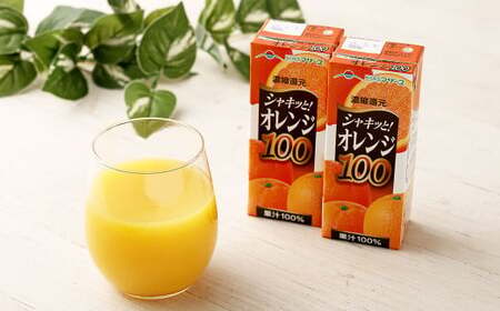 【3か月連続定期便】オレンジ100 200ml×12本×3回 合計36本 合計7.2L 厳選 みかん 果汁 100% 濃縮還元 ミカン オレンジ ジュース みかんジュース 常温 飲料 熊本県 らくのうマザーズ