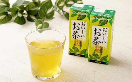 【3か月連続定期便】おいしいお茶 200ml×12本×3回 合計36本 合計7.2L お茶 緑茶 国産 茶葉 100% 常温 飲料 熊本県 らくのうマザーズ