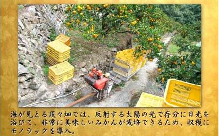 鹿蔵 プレミアム 有田みかん ( ゆら早生 ) 5kg+250g（傷み補償分） 光センサー 選果 ※北海道・沖縄・離島への配送不可 ※2026年10月上旬～11月中旬頃に順次発送/ 温州 みかん 厳選 柑橘 果物 フルーツ 和歌山 【ikd003-prem-5A】