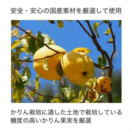 かりんはちみつ漬×4本(21187)【1030504】