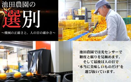 鹿蔵の 有田 みかん プレミアム 5kg+250g(傷み補償分) 光センサー 選果 / 温州みかん 有田みかん 甘い 高級 厳選 和歌山 柑橘 ※2026年11月中旬より2027年1月下旬に順次発送 ※北海道・沖縄・離島への配送不可 【ikd004-prem-5A】