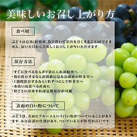 【先行受付】岡山県産　ニューピオーネ4房(1房480g以上・合計約2kg)【配送不可地域：離島・北海道・沖縄県】【1281357】