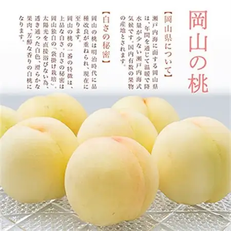 【先行受付】岡山県産　詰合せ/白桃とニューピオーネ　化粧箱入り【配送不可地域：離島・北海道・沖縄県】【1281365】