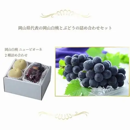 【先行受付】岡山県産　岡山白桃エース3Lサイズ300g×2玉・ニューピオーネ600g×1房　詰合せ【配送不可地域：離島・北海道・沖縄県】【1309116】