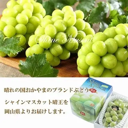【2026年7月中旬より順次発送】岡山県産 シャインマスカット 晴王 800g×1房【配送不可地域：離島・北海道・沖縄県】【1365930】