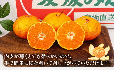 訳あり 早生温州 9kg まる玉農園 訳あり B010-172004