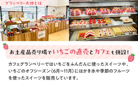 【訳あり】冷凍いちご　1kg