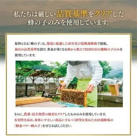 【毎月定期便】酵素パワー蜂の子 (21512)全12回【4008981】