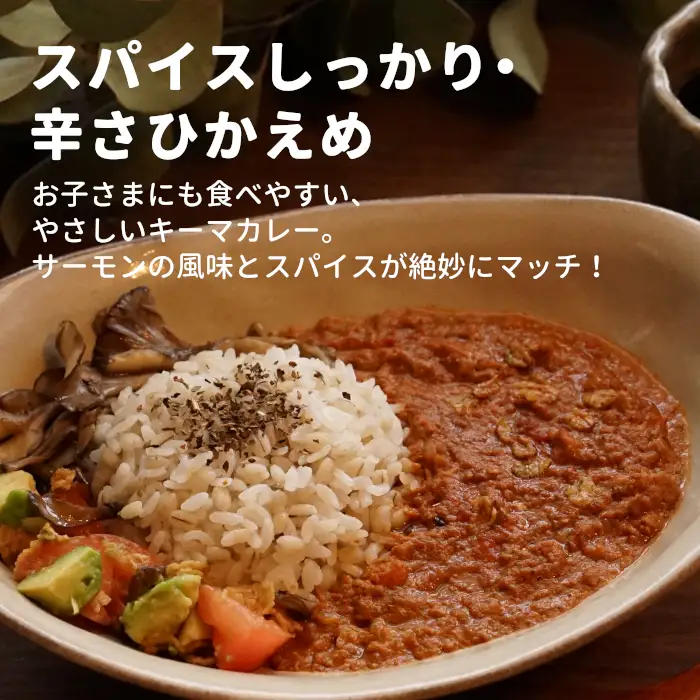 絹姫サーモン奥三河おさかなキーマカレー　6個セット  レトルトカレー カレー 魚カレー -009