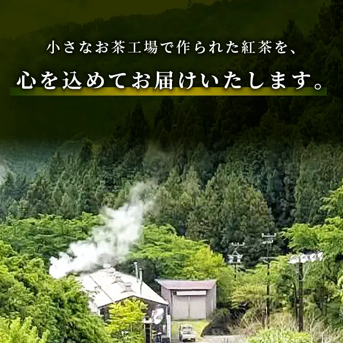 何も加えてない・ピュアな紅茶★無農薬 田峯紅茶 5袋セット 紅茶 ホット アイス アイスティー 茶 -022