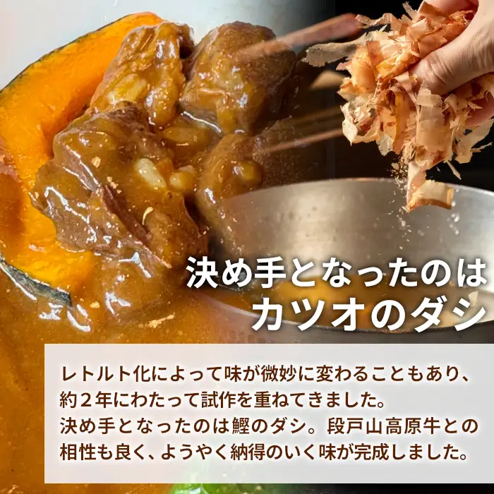 お肉ごろっと！たけうち牧場のビーフカレー カレー 牛肉カレー レトルトカレー ご当地カレー 段戸牛カレー 7個セット -024