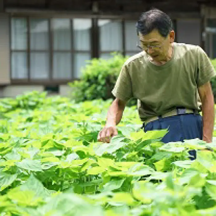 エゴマ油(生搾り)2本セット -034
