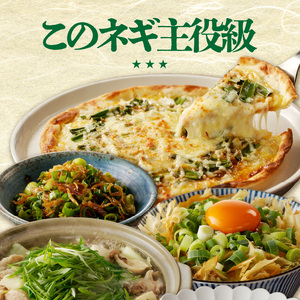 山城のねぎ 1kg 野菜 長ネギ 京野菜 001-12