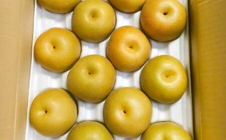  浅岡農園 の 梨 10kg 豊水 秋月 新高 甘太 果物 大分県産 【2026年9月上旬-11月上旬発送予定】