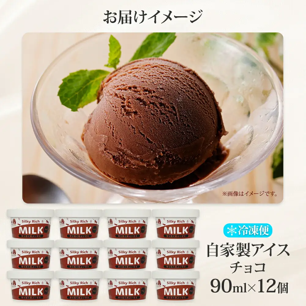 3221. 牧之瀬牧場 自家製アイス チョコ 90ml 12個 アイス 氷菓子 チョコ味 チョコレート フレーバー 牧場 手作り セット おやつ デザート スイーツ 冷凍 ギフト 送料無料 北海道 弟子屈町