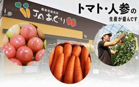 《野菜 定期便 12ヵ月 JA小松市（毎月）》季節 野菜 詰合せ 定期便 詰合せ  石川県 小松市 北陸 石川県 北陸