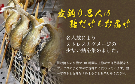 【先行予約】（2026年8月上旬頃から発送）弓掛の天然鮎 10尾セット【冷凍パック】【107-2】