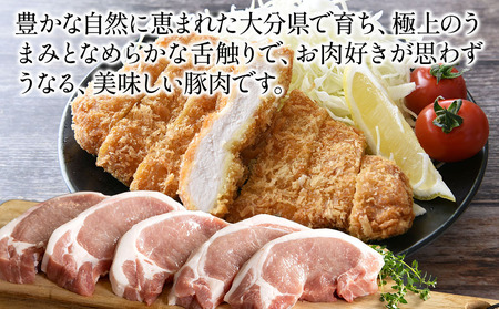 「米の恵み」 豚ロースかつ 約120g×5枚 | お肉 肉 おにく にく 豚 豚肉 ロース ブランド豚 ロースかつ とんかつ トンカツ 惣菜 おかず 冷凍 国産 大分県産 九州産 大分県 中津市