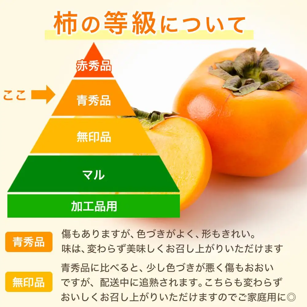 ［2026年10月上旬～発送］和歌山県産 秀品 平核無柿 約7.5kg L ~ 2L サイズ 青秀品 たねなし柿 種無し柿 選果場 直送