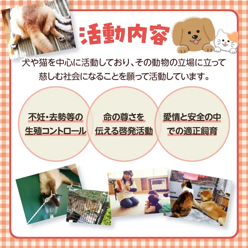 【動物愛護ボランティア】浜中町「ポラリス☆はまなか」を支援　1000円分 返礼品なし_H0048-001