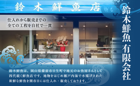 【訳あり】職人炭火焼き 穴子 （国産・韓国産）特選ブレンド6～14本（500g）タレ付き