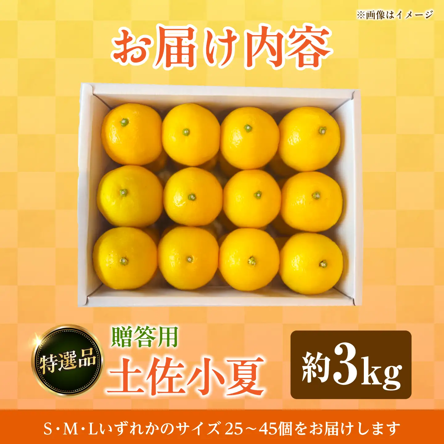 【先行予約】＜果樹園直送＞土佐小夏 特選品贈答用 約3kg 3キロ〈2026年5月下旬?6月下旬頃発送〉  / こなつ 小夏 日向夏 ニューサマーオレンジ 柑橘 かんきつ 柑橘類 フルーツ 果物 くだもの 果実【白木果樹園】 [BQAI027]