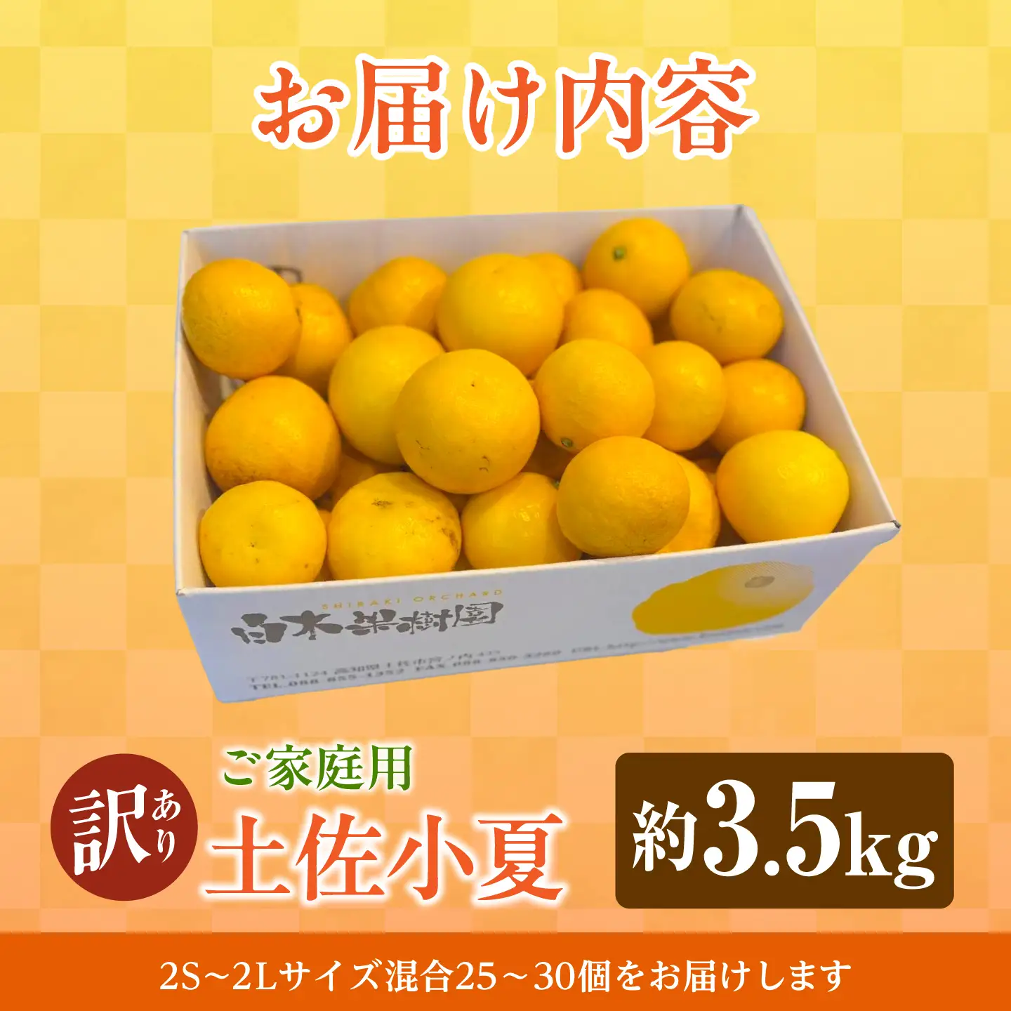 【先行予約】＜白木果樹園＞ 土佐小夏 訳ありご家庭用 約3.5kg 3.5キロ〈2026年5月下旬?6月下旬頃発送〉  / こなつ 柑橘 かんきつ 柑橘類 フルーツ 日向夏 ニューサマーオレンジ 西内小夏 果物【白木果樹園】 [BQAI033]