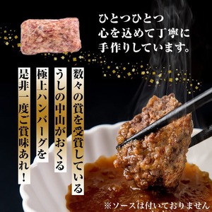 ＜A4・A5等級＞鹿児島県産黒毛和牛100%使用極上手ごねハンバーグ計3kg(150g×20個) 黒毛和牛 和牛 ハンバーグ 冷凍ハンバーグ 肉 牛肉 国産 九州産 鹿児島県産 ミンチ 100% 小分け A4 A5 日本一 人気 b8-037