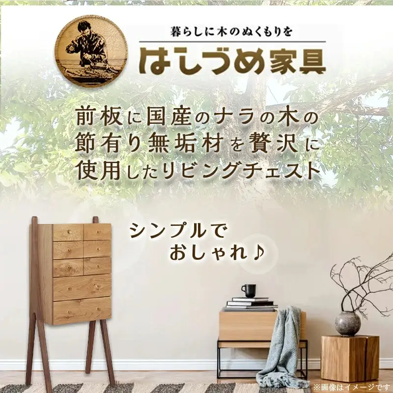 SICURO47リビングチェスト〔HV-4301〕_(都城市) 国産ナラの木 無垢材 シンプルでおしゃれなデザイン 幅470mm×奥行き315mm×高さ1065mm 天然無垢 オイル仕上げ 収納 家具 インテリア 整理タンス