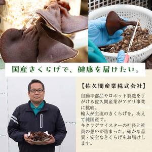 福寿「生キクラゲ」500g (100g×5パック) きくらげ きのこ キノコ F6Q-108