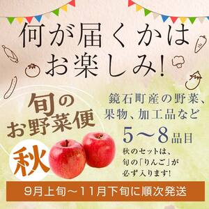 ＜先行予約＞鏡石のうまいもの野菜の直送便（秋）野菜 果物 詰め合わせ つめ合わせ セット 福島県 鏡石町  F6Q-135