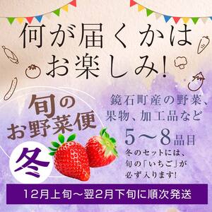 ＜先行予約＞鏡石のうまいもの野菜の直送便（冬）野菜 果物 詰め合わせ つめ合わせ セット 福島県 鏡石町  F6Q-136