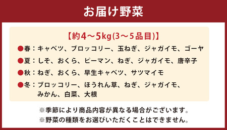 綺麗な水の街熊本で採れた新鮮野菜詰め合わせセット 約4～5kg 野菜 やさい 野菜詰合せ 詰め合わせ セット 国産 熊本県 熊本市 九州