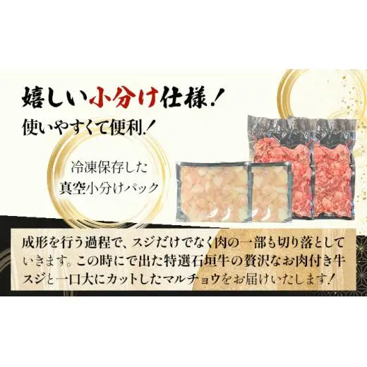牛スジ500g×2、マルチョウ300ｇ×2の大容量セット　IM-24