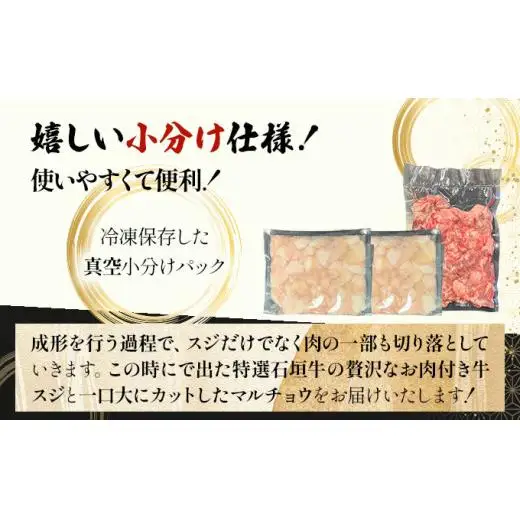 牛スジ500g、マルチョウ300ｇ×2の大容量セット 　 IM-25