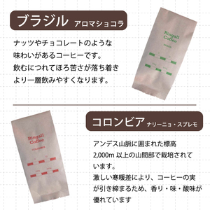 【 自家焙煎　コーヒー粉500g（100g×5種）】飲み比べセット 珈琲 ブレンド 194006