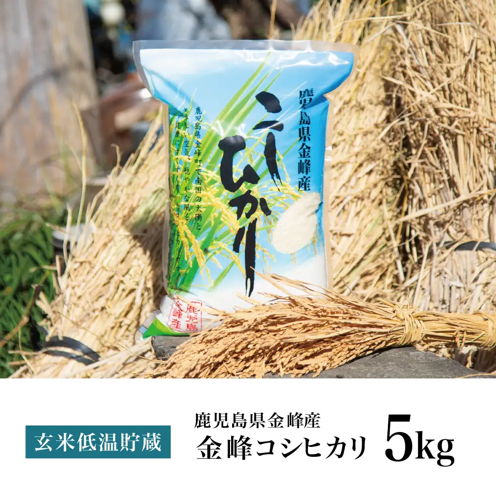 ★令和7年産★鹿児島県南さつま市産「金峰コシヒカリ」5kg 【玄米低温貯蔵・白米でお届け】超早場米 早期米 こしひかり 白米 九州産 鹿児島県産 お米 コメ おこめ 5キロ 松木のお米直販 南さつま市