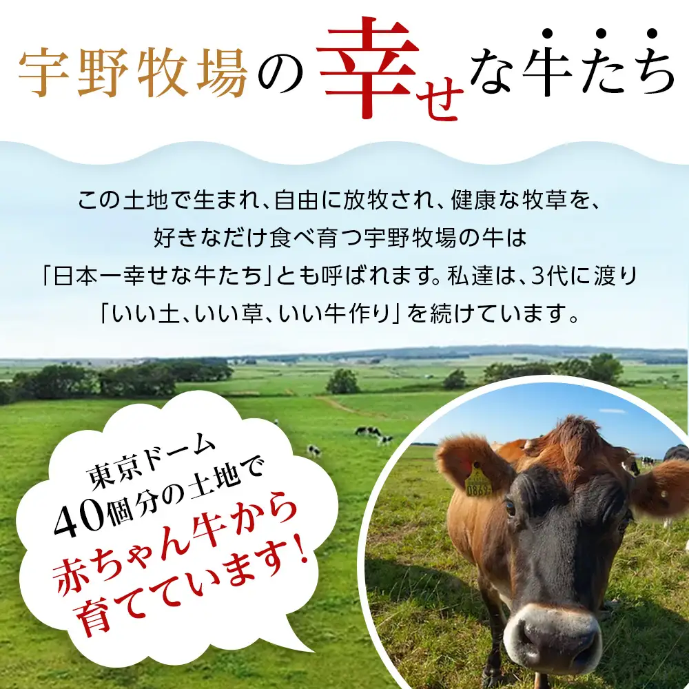 オーガニックプレーンヨーグルト〈無糖〉＆オーガニックスイーツヨーグルト〈加糖〉各3・6個セット