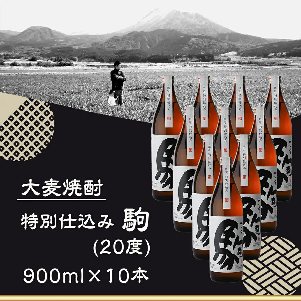 「みやこんじょ銘酒」【柳田酒造】特別仕込み駒(20度)900ml×10本≪みやこんじょ特急便≫_29-3502_(都城市) 麦焼酎 20度 900ml瓶 10本 焼酎 柳田酒造