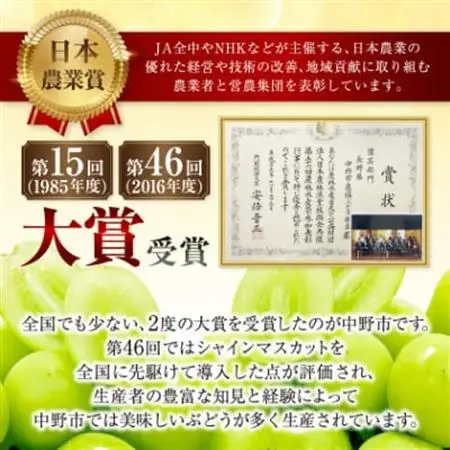 【2026年発送】JA中野市直送　訳ありシャインマスカット2.3kg以上満足セット(4～5房)【配送不可地域：離島】【1594569】