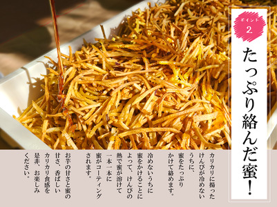 芋けんぴ 訳アリ 160g×5個 セット 生芋けんぴ さつまいも 紅はるか 蜜掛け カリカリ 和菓子 おやつ 芋菓子 お茶請け スイーツ 富士市 [sf104-001]