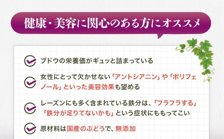 ほしぶどう 40g×5袋 国産 ドライフルーツ 無添加 複数品種 希少 レア 小分け 干し葡萄 干しぶどう 干しブドウ 保存食 備蓄食 常備食 食物繊維 鉄分 ほしぶどう 防災食品 ポリフェノール レーズン 製菓 製パン グラノーラ おやつ おつまみ