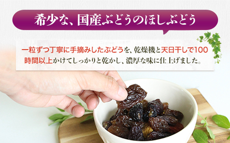 ほしぶどう(40g×5袋)としっとり柿チップス(60g×5袋)セット 国産 ドライフルーツ レーズン 無添加  人気 おすすめ